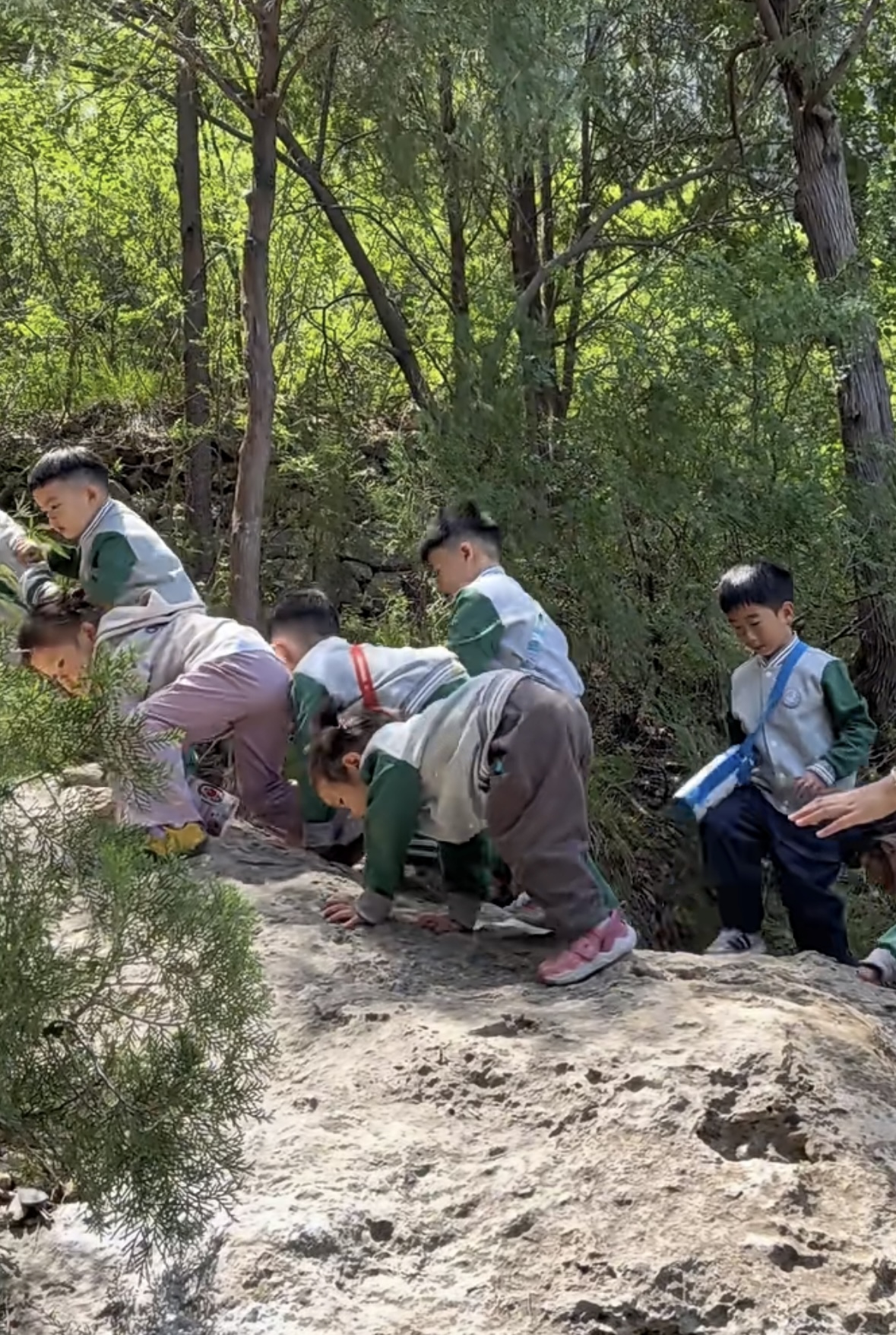 把童年还给山野，把成长交还自然 ——博苑君逸幼儿园“徒步山野”自然教育活动纪实