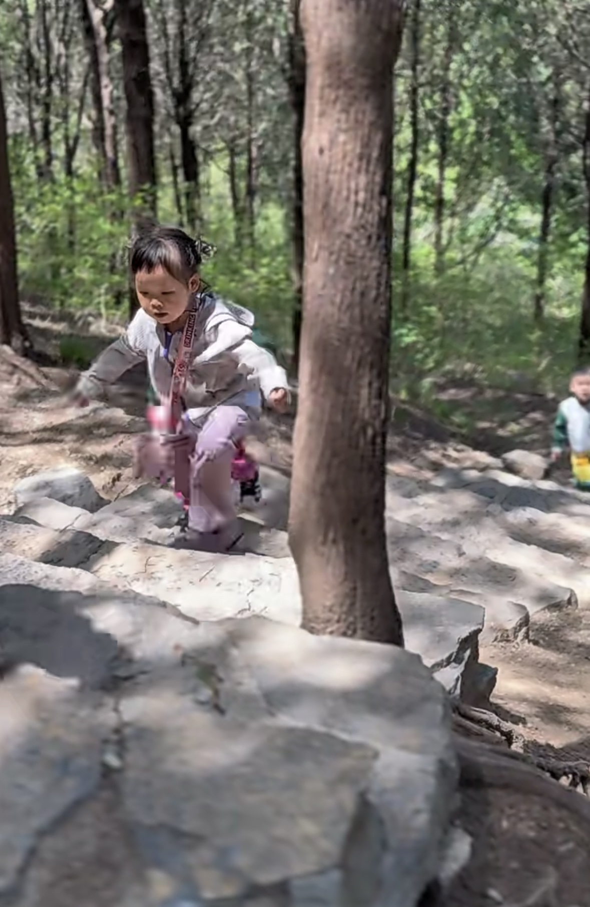 把童年还给山野，把成长交还自然 ——博苑君逸幼儿园“徒步山野”自然教育活动纪实