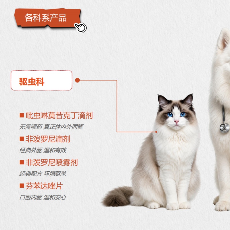 微信图片_20260702105305_271_2.jpg